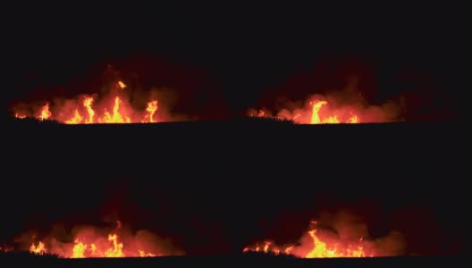 收割前甘蔗田燃烧，新南威尔士州高清在线视频素材下载