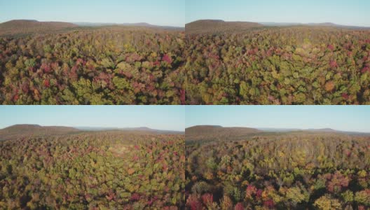 空中秋天的颜色在秋天的森林，魁北克，加拿大高清在线视频素材下载