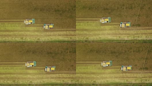 高空俯视图联合收割机在茉莉花稻田上作业的农业技术概念。高清在线视频素材下载