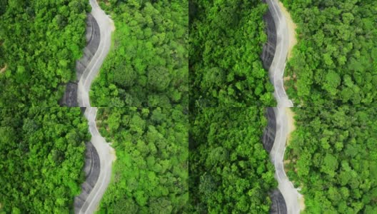鸟瞰图的乡村道路在绿色的夏季森林。香港的乡郊景观高清在线视频素材下载