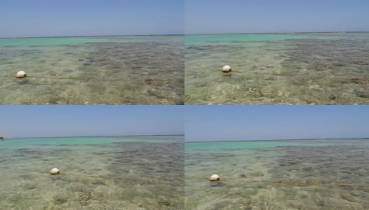 低潮。退潮时的红海海岸线。海藻和死礁都看得见高清在线视频素材下载