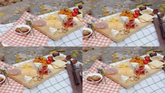 什锦奶酪和熟食拼盘，包括Camembert，蓝色和豪达，腌肉，干果和坚果在热带花园的背景。高清在线视频素材下载