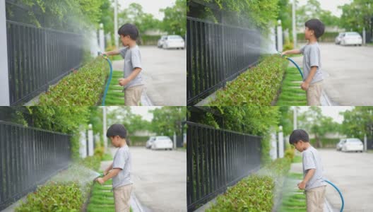 孩子在家给树浇水。生态环境概念高清在线视频素材下载
