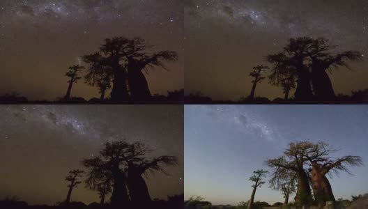 Star time-lapse, milky way galaxy over Baobab trees, Botswana高清在线视频素材下载