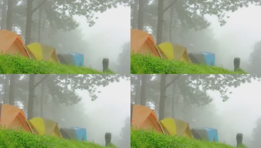 雾中的旅游帐篷。在松树林中露营。旅游、度假、自然概念高清在线视频素材下载