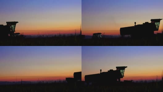 剪影结合收集的作物在日落鲜艳的颜色天空。日落时收获。索尼4 k拍摄高清在线视频素材下载