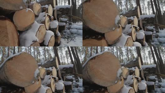 冬天阴天，路边堆着白雪覆盖着的一堆砍下来的树高清在线视频素材下载