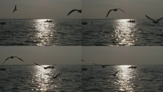 美丽的海景与渔船，渔民和海鸥在日落天空的慢镜头。高清在线视频素材下载