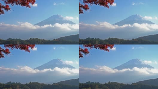 美丽的富士山与枫树在秋天的日本高清在线视频素材下载