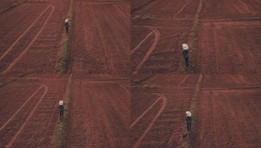 农妇用数字平板检查有机土壤农业稻田梯田麦田在夏季旱季，鸟瞰图高清在线视频素材下载
