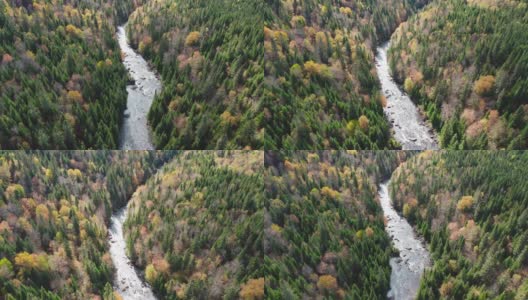 鸟瞰图的北方森林自然和河流在秋季高清在线视频素材下载