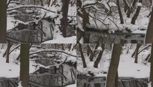 这条河在冬天的城市公园里。树上有雪帽。雪从树上飘落下来。特写镜头。高清在线视频素材下载