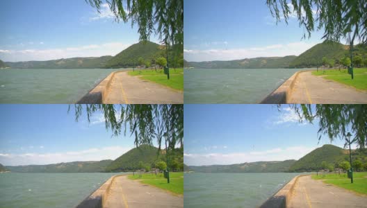 多瑙河的夏天有柳树和风高清在线视频素材下载