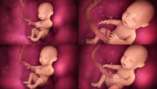 母亲子宫里的人类婴儿高清在线视频素材下载