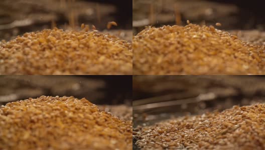 麦粒以慢镜头落下，背景是一捆小麦。在滑块上拍摄高清在线视频素材下载