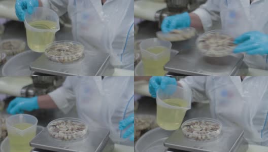 一名女工用手把塑料瓶里的油倒进一罐鱼蜜饯中。鱼在工厂保存生产，在塑料容器中分拣鱼片高清在线视频素材下载