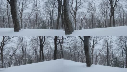 移动高分辨率4k视频的一个冬天的一天降雪。高清在线视频素材下载