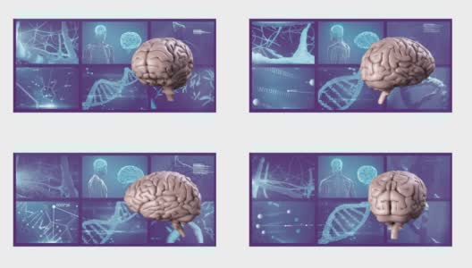 科学家屏幕上的3D旋转大脑动画高清在线视频素材下载