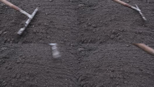 园丁使用花园土壤耙子打破土壤，并在播种前取出任何植物物质高清在线视频素材下载