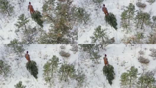 从上面看，潮人拖着一棵圣诞树高清在线视频素材下载