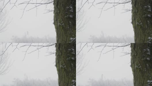 一个人在雪地里走进薄雾的长镜头高清在线视频素材下载