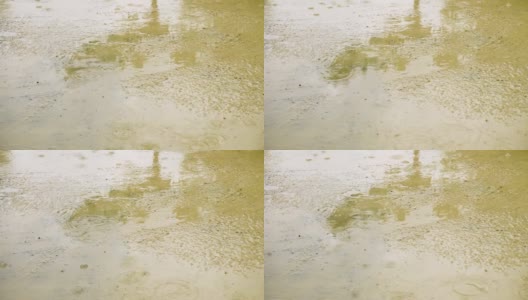 大雨滴落在潮湿的沥青表面的特写。潮湿的水坑和水泡高清在线视频素材下载