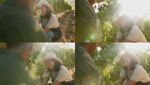 两个年轻人在葡萄园摘水果时聊天的4k视频高清在线视频素材下载