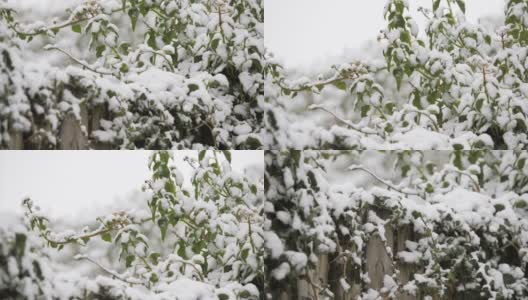 下雪的乡村，北爱尔兰高清在线视频素材下载