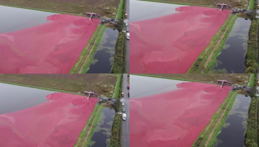 航拍的蔓越莓装上卡车在加拿大高清在线视频素材下载