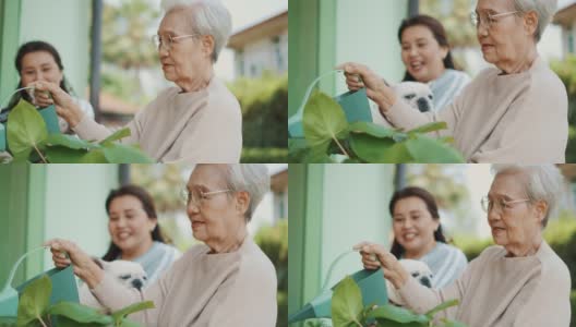 一位年长的妇女和她的女儿在照料植物高清在线视频素材下载