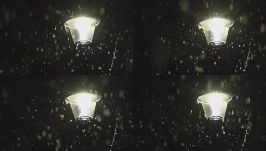 特写:孤独的路灯照亮公园在大雪的夜晚高清在线视频素材下载