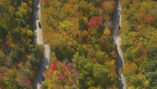 航拍:越野车在树叶偷窥公路上行驶，穿过五彩缤纷的秋天森林高清在线视频素材下载