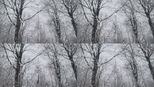 从演播室窗口看到的一个冬天下雪的移动高分辨率4k视频。高清在线视频素材下载