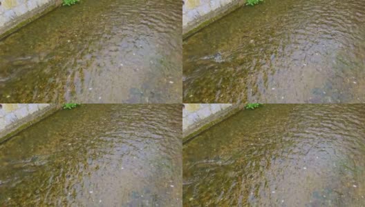 日本京都高濑河运河水面特写高清在线视频素材下载
