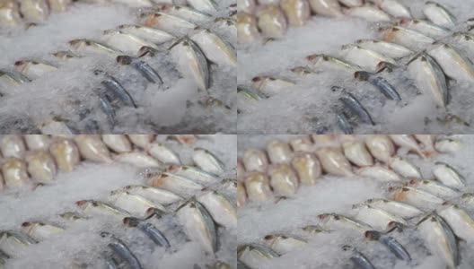 在市场上冰冻的鲜鱼高清在线视频素材下载