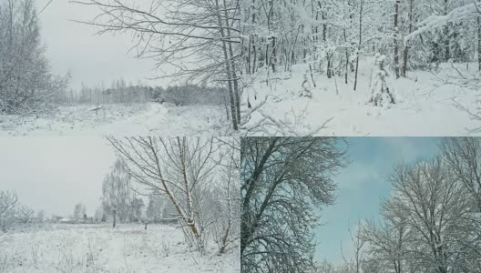 冬天的雪林景观。高清在线视频素材下载