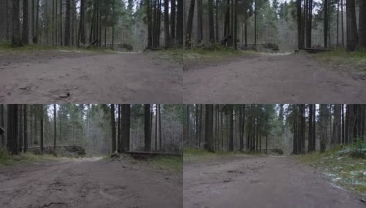 走在森林的路上高清在线视频素材下载