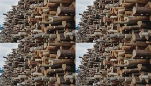 砍伐的树木，木材生产，原材料高清在线视频素材下载