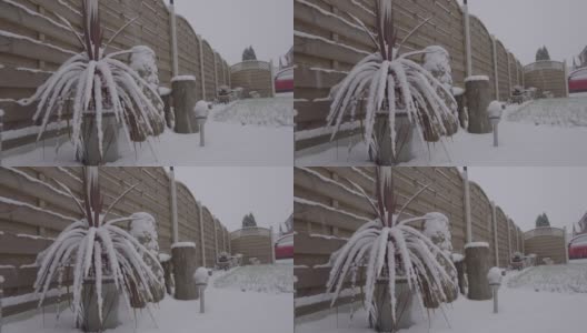 降雪时间的推移覆盖了城市花园高清在线视频素材下载