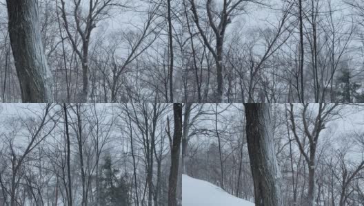 移动高分辨率4k视频的一个冬天的一天降雪。高清在线视频素材下载