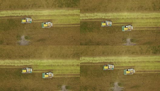 鸟瞰图联合收割机在茉莉花稻田作业。高清在线视频素材下载