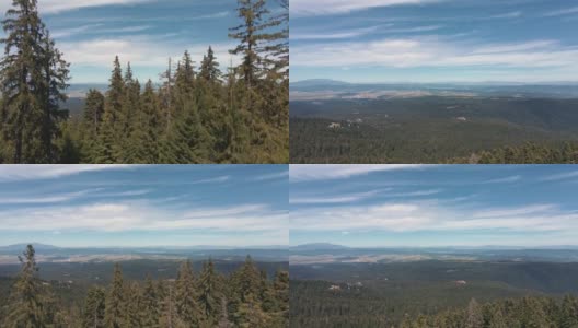 山区的针叶林。山顶山峦鸟瞰图茂密的绿色云杉林上的斜坡无人机打开在夏天日出和蓝天，云。新鲜和干净的空气。自然高清在线视频素材下载