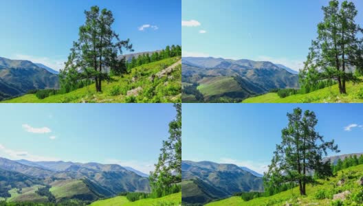 绿草如茵，绿树成荫，青山在蓝天下，草原风光秀丽。高清在线视频素材下载