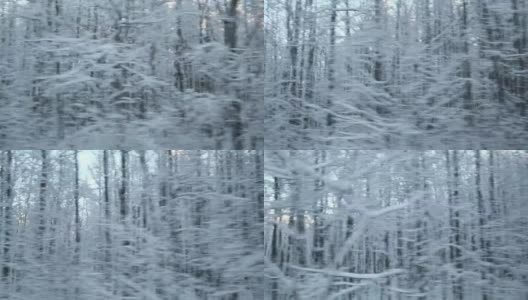 积雪的冬季道路上有松树、桦树林和田野。风景和空旷的公路穿过冬天的森林。汽车在道路上超速行驶。侧窗视图的汽车在运动。旅游、旅游、旅行的概念高清在线视频素材下载