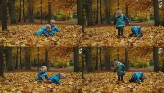 孩子们在公园里的落叶上玩耍高清在线视频素材下载