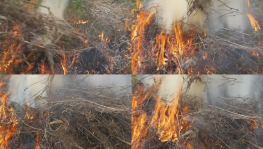燃烧冒烟的干草或干草。火灾和保护自然的问题高清在线视频素材下载