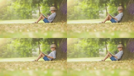 在一个阳光明媚的夏日，男孩坐在树旁看书高清在线视频素材下载