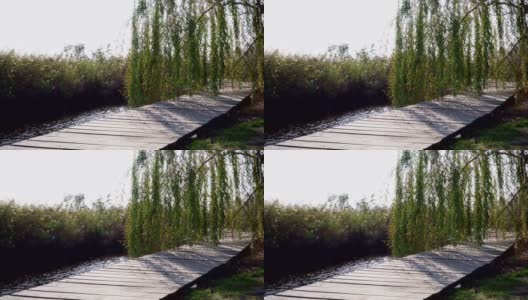 湖边柳树旁的木码头高清在线视频素材下载