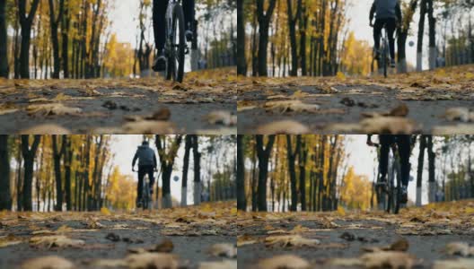 一个面目全非的年轻人骑着自行车穿过城市公园里五颜六色的树木。运动的家伙在秋天的一天户外骑自行车。枯黄的叶子躺在公园巷子里。主动休息的概念。慢镜头后视图高清在线视频素材下载