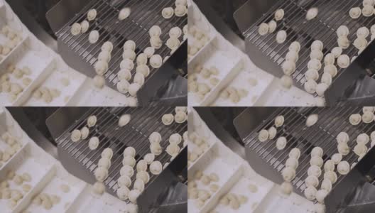 饺子工厂的自动机器生产过程。新鲜生Pelmeni落在传送带上。在食品工厂操作的工业机械。高清在线视频素材下载